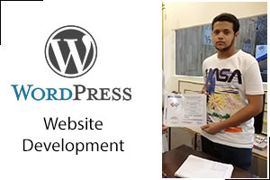 wordpress development course